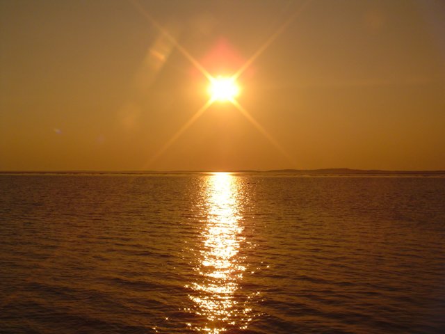 2004Zeilkamp 119.jpg